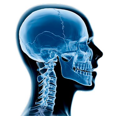 Services Decorative Image